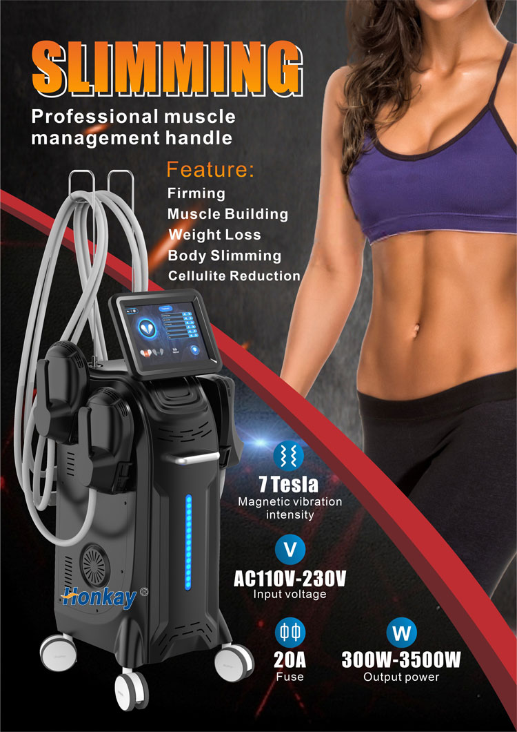 ems sculpting machine price