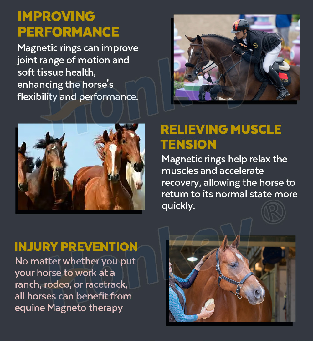 Improving performance, relieving muscle tension and injury prevention for horses