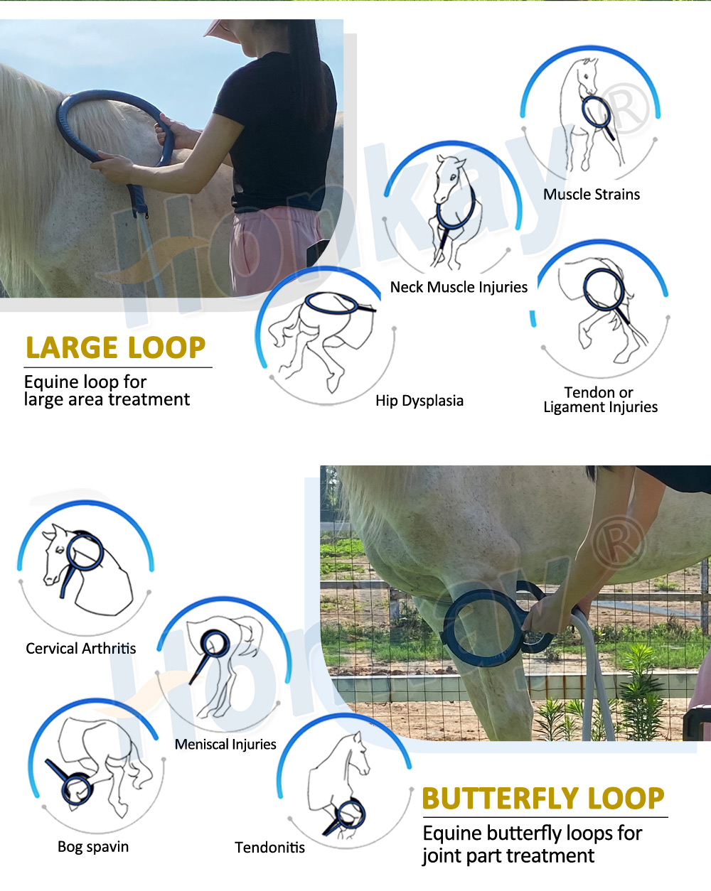 Large loop and butterfly loop applications for equine conditions