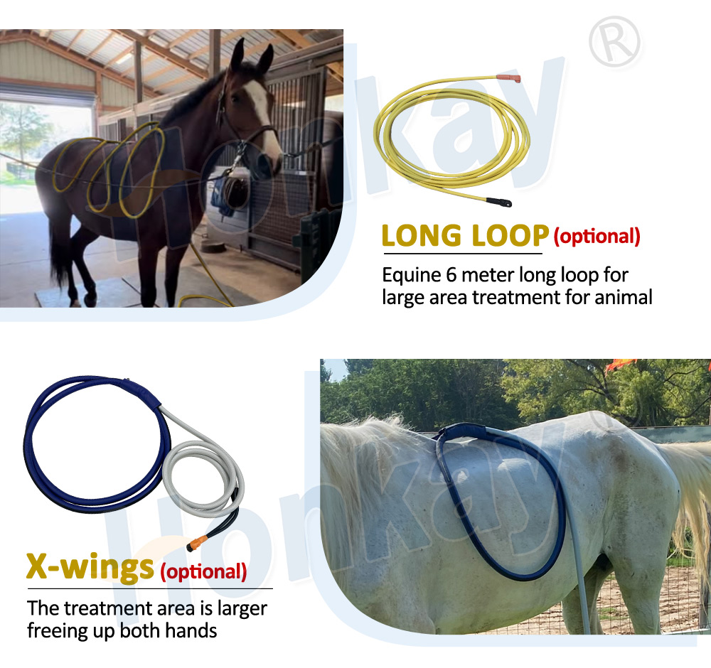 Optional long loop and X-wings for large area equine treatment