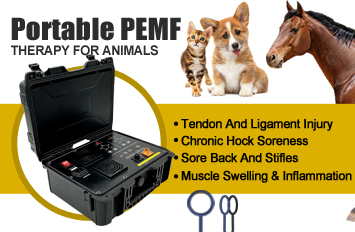 pemf therapy portable device