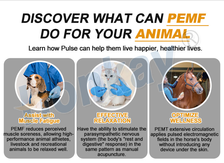 portable pulsed electromagnetic field machine