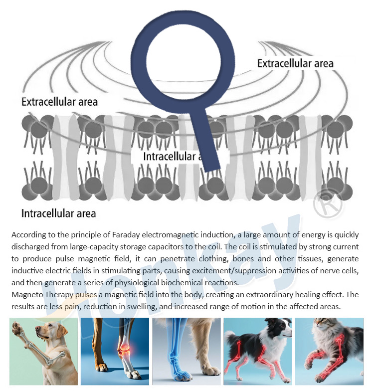 portable pulsed electromagnetic field machine
