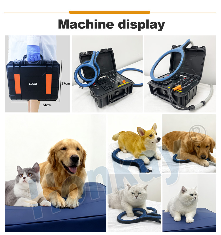 portable pulsed electromagnetic field machine