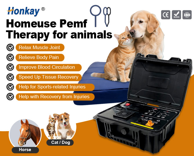 portable pemf healing device