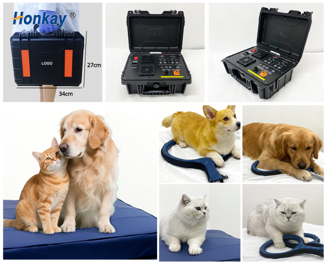 pemf devices for home use