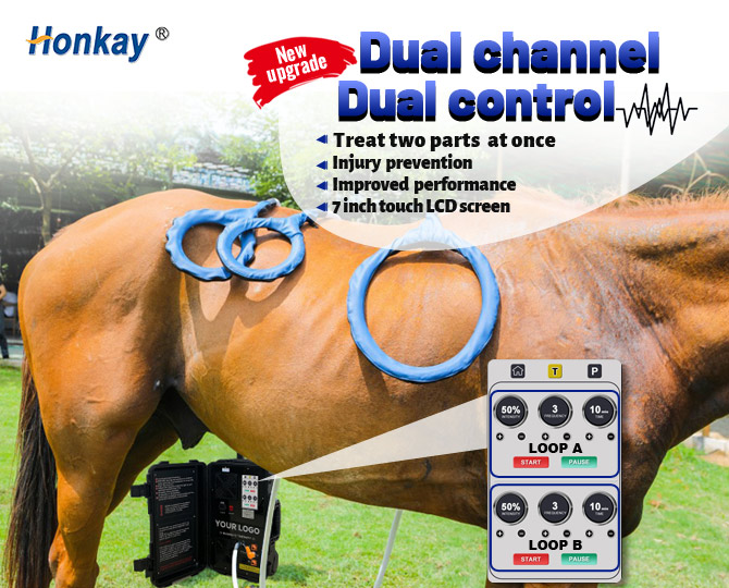magnawave machine for horses