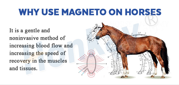 horse pemf machine