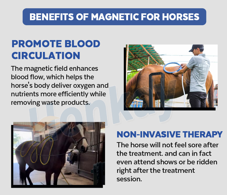 pemf horse therapy machine
