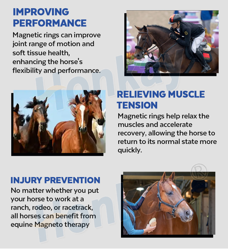 pemf horse therapy machine