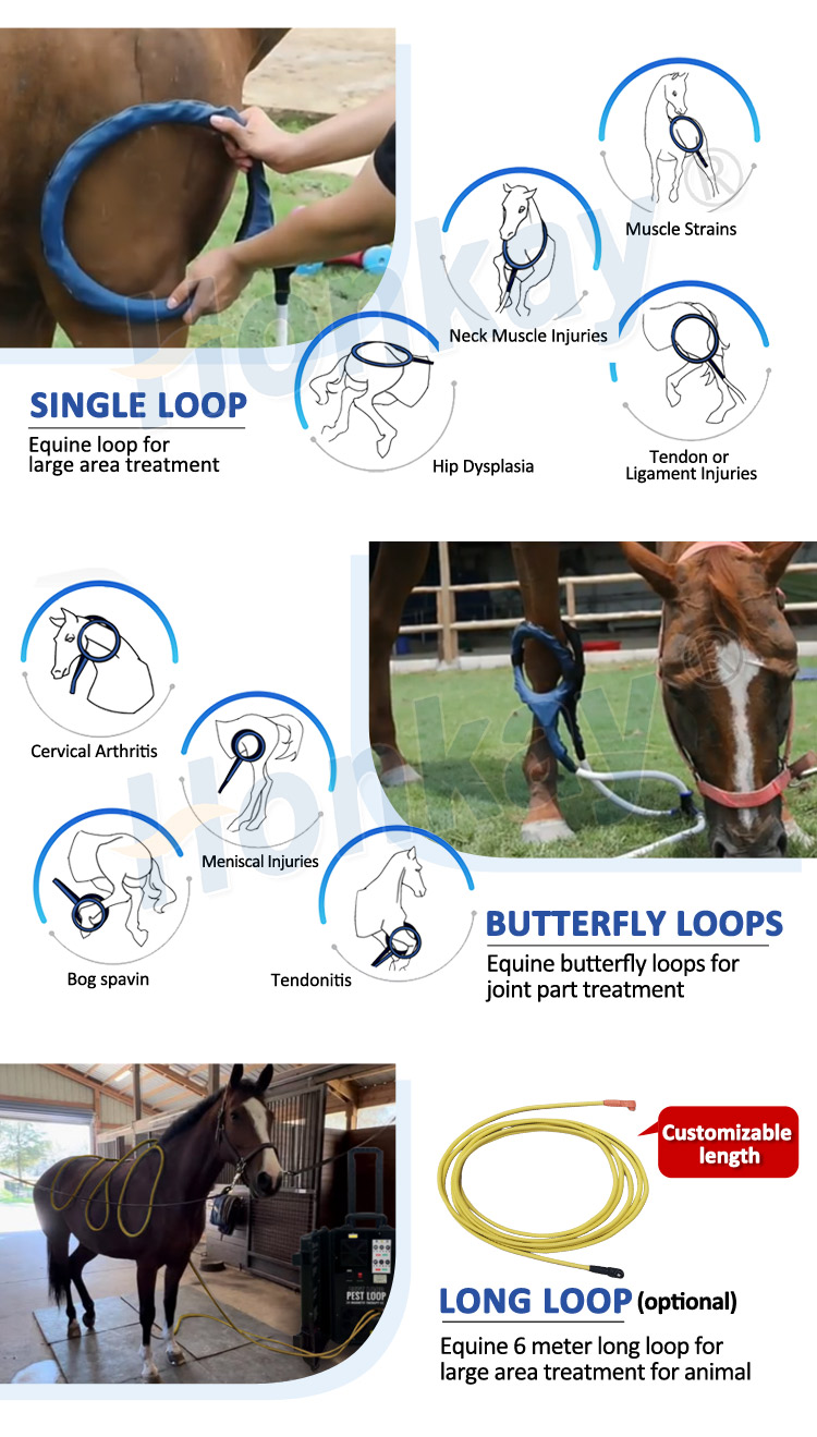pemf horse therapy machine