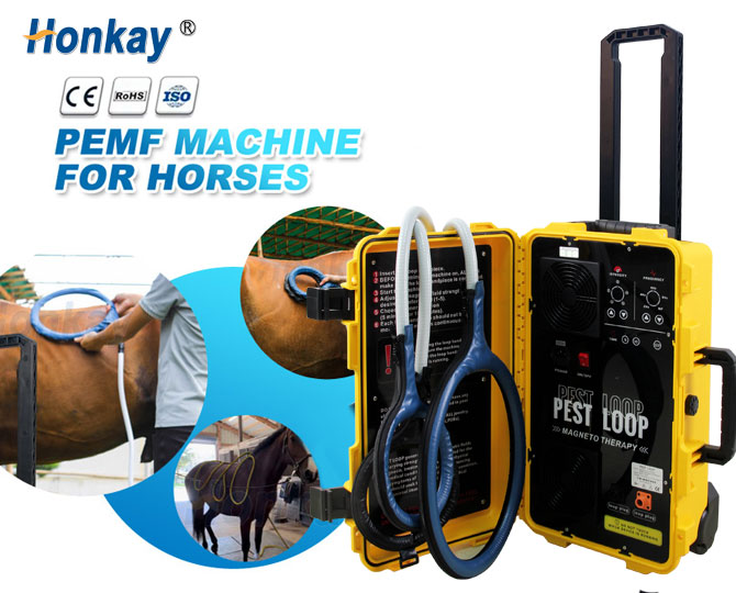 pemf magnetic therapy machine