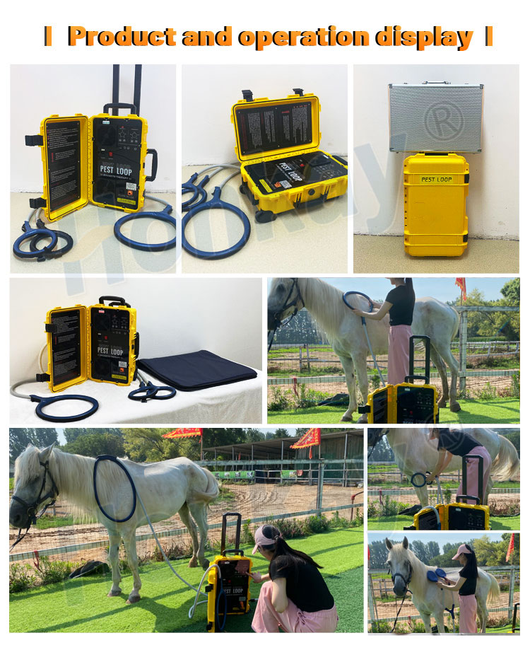 pemf machine for horse