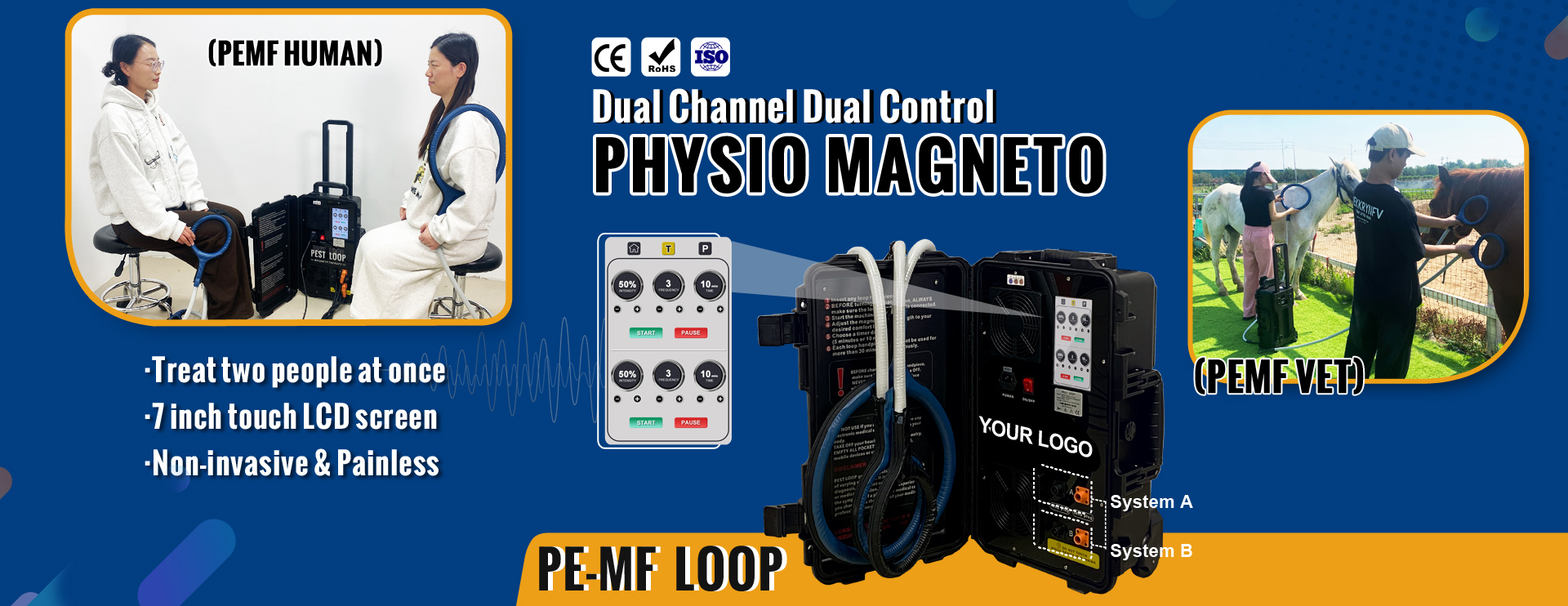 Dual control pemf 