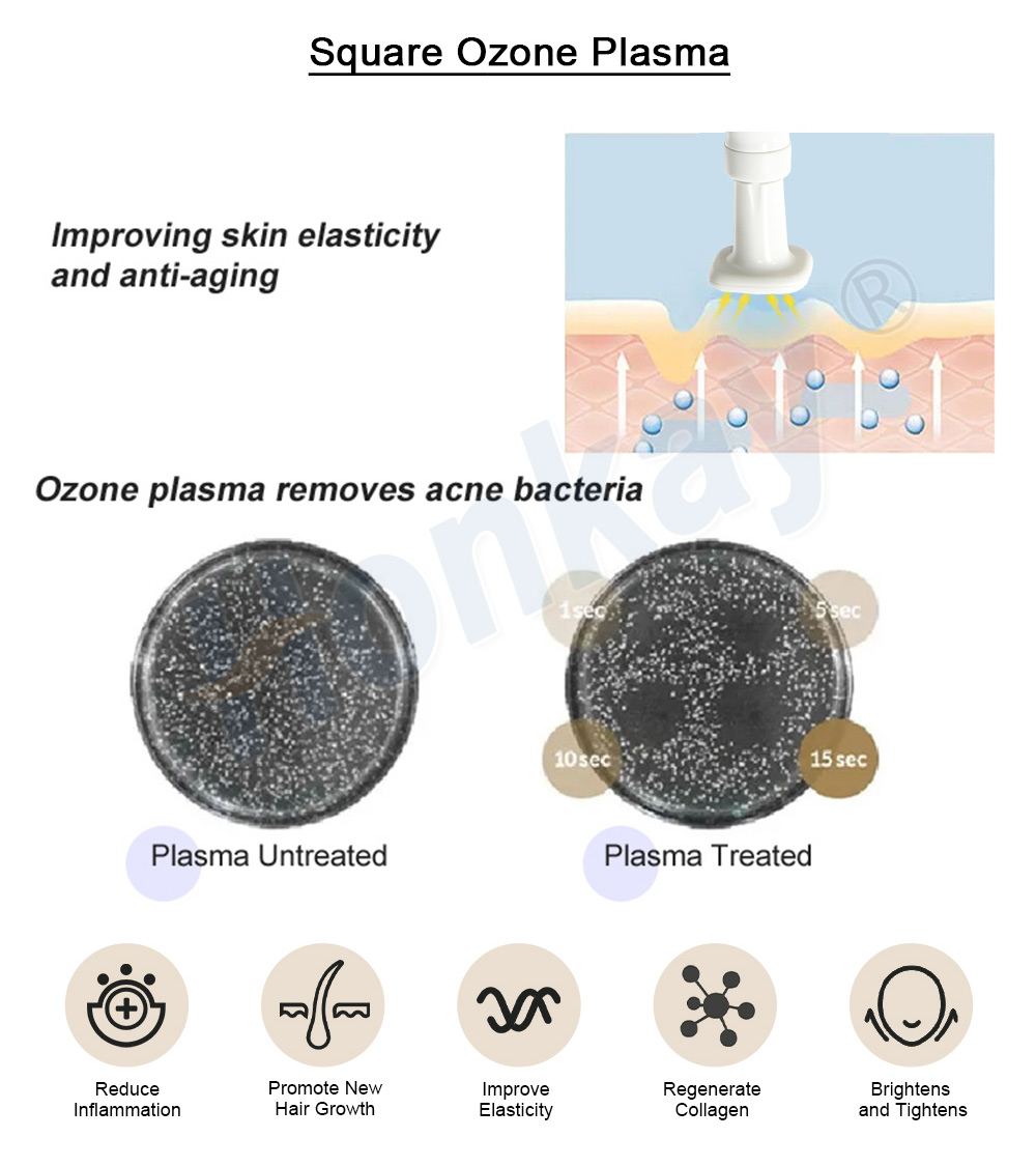 ozone plasma antibacterial dish test with treated and untreated samples
