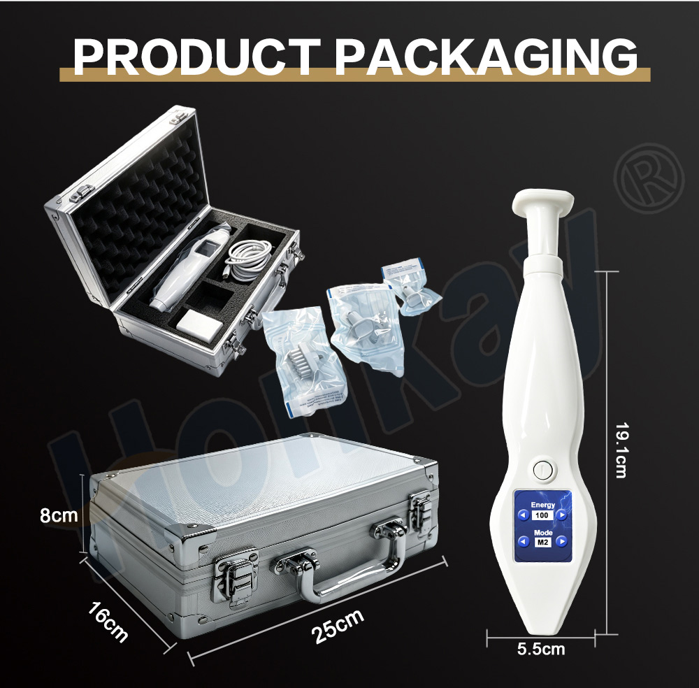 aluminium carry case with foam insert holding the plasma pen and three tips